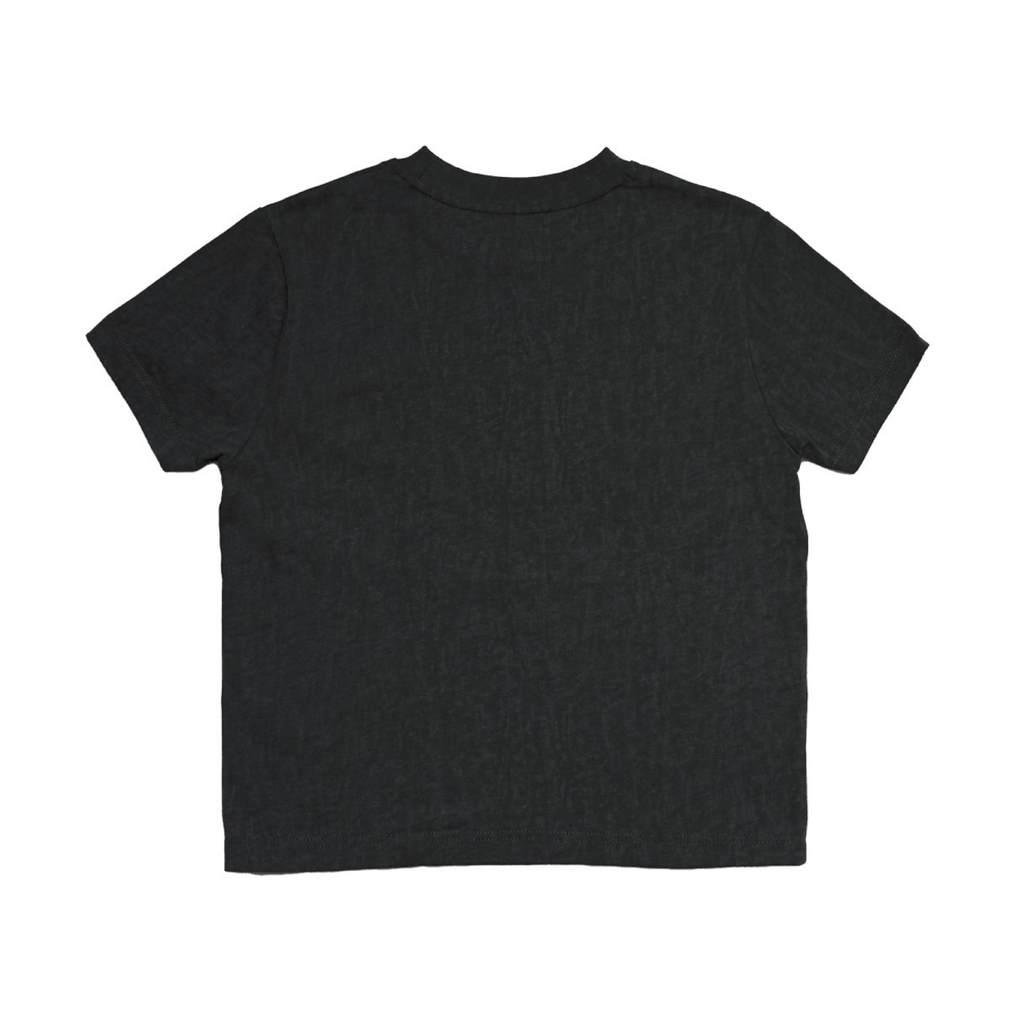 【EC販売】- 世界滅亡ドッキリ - ピグメントTシャツ