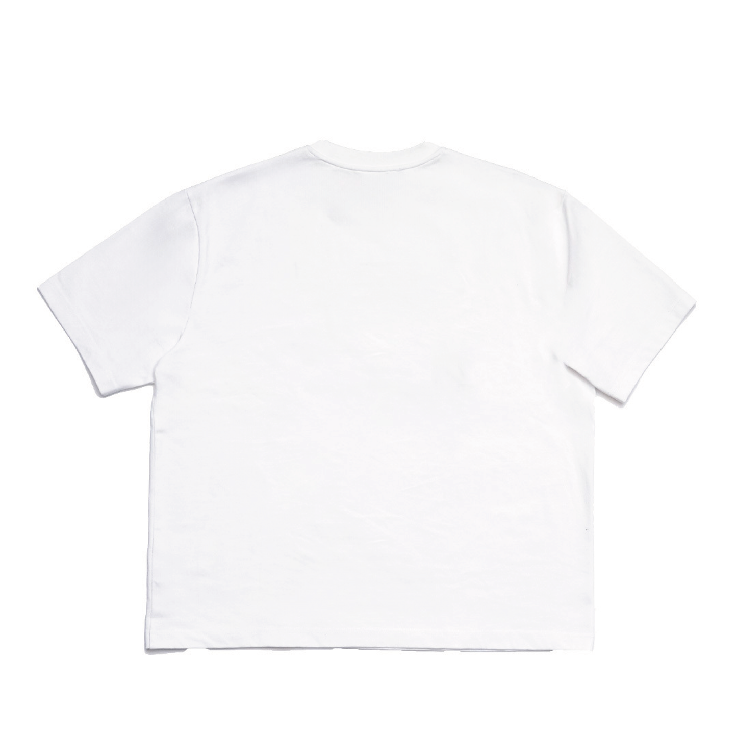 【EC販売】- 世界滅亡ドッキリ - グラフィックTシャツ